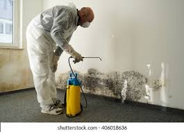 Best Mold Odor Removal Services  in Salem, WV